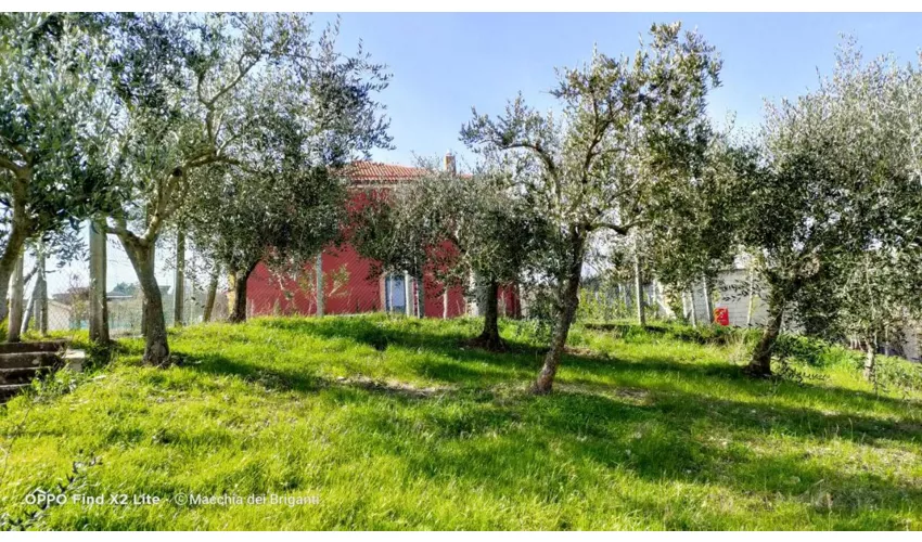 Macchia dei briganti