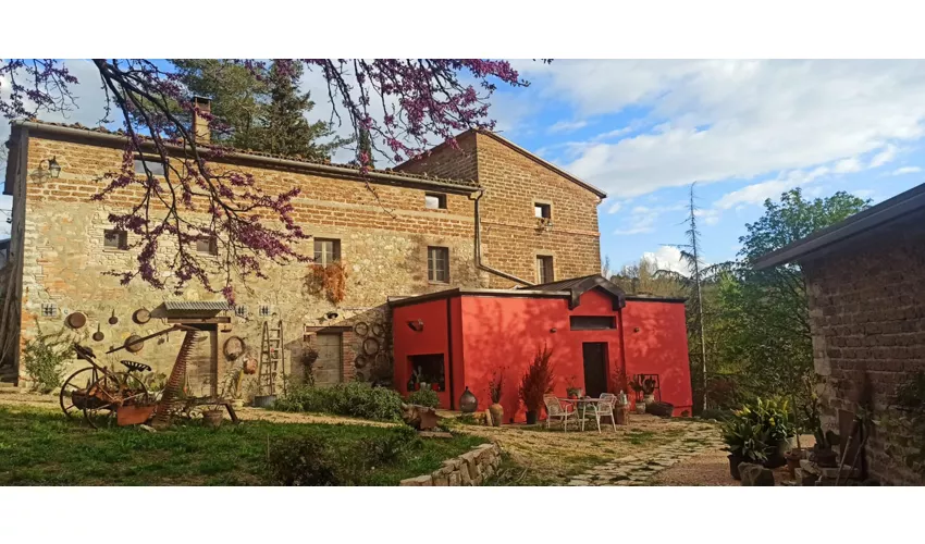 ABC rurale | Esperienze in Fattoria