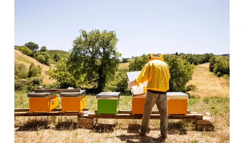 ABC rurale | Esperienze in Fattoria