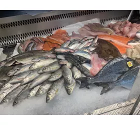 Da Ceko Il Pescatore