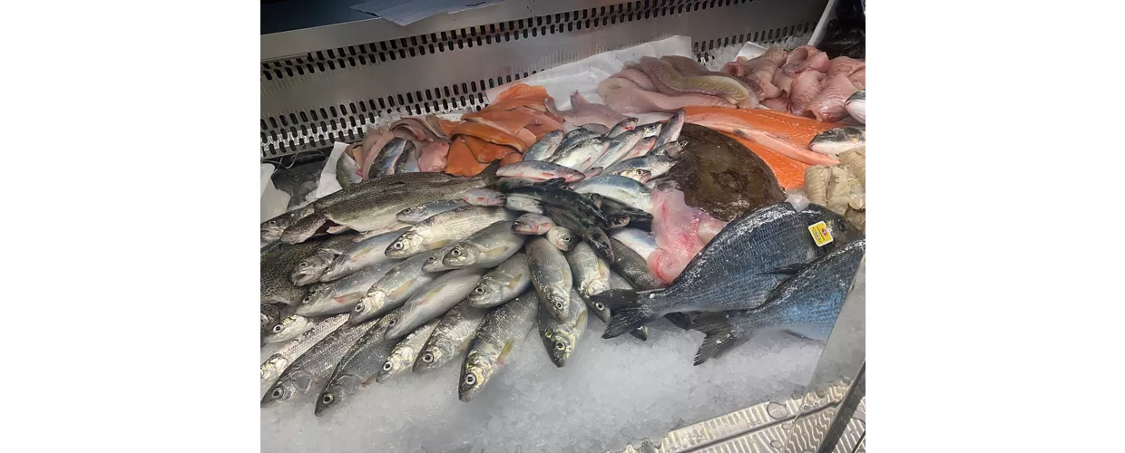 Da Ceko Il Pescatore