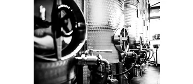 Offwine winery