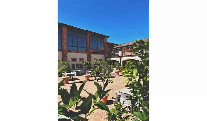 Agriturismo Gli Spinoni