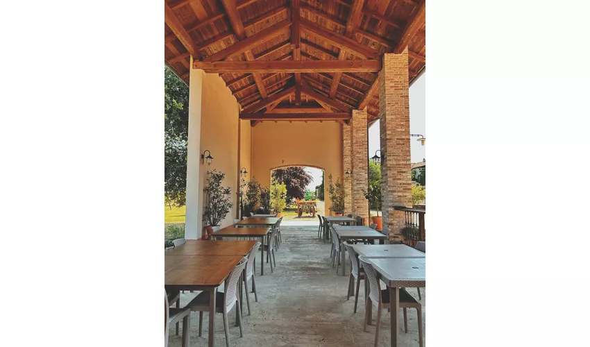 Agriturismo Gli Spinoni