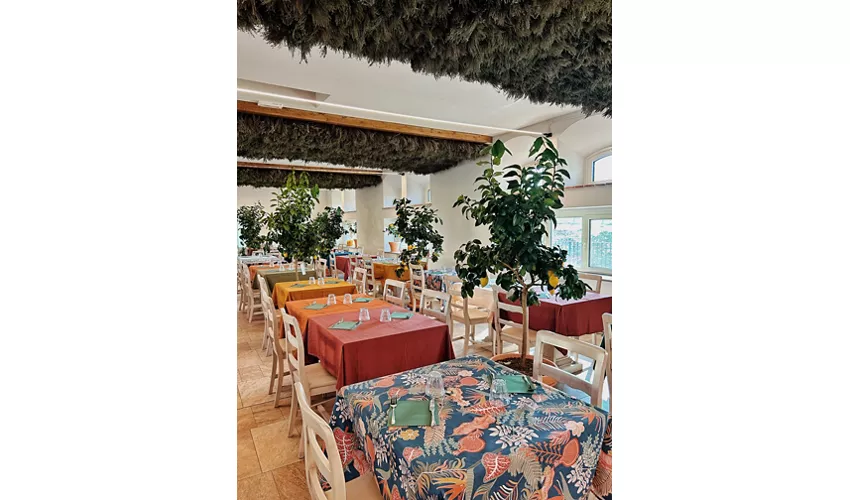 Agriturismo Gli Spinoni