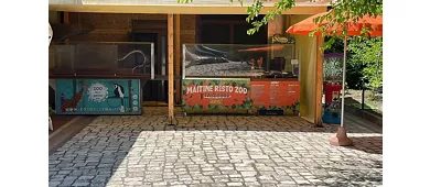 Zoo Delle Maitine