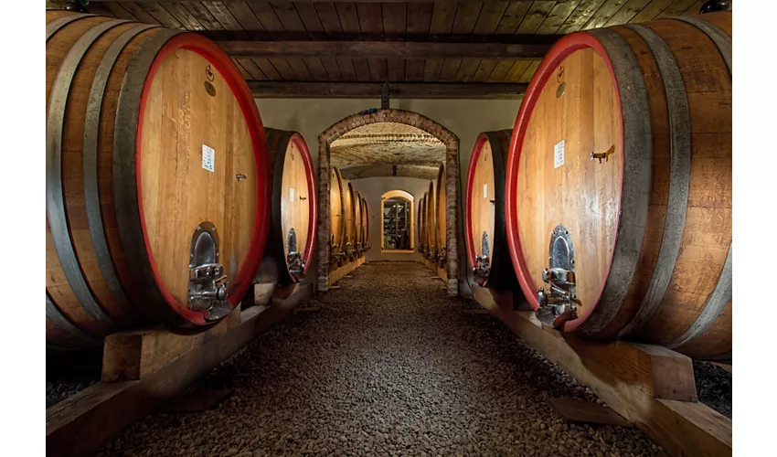 Poderi Gianni Gagliardo