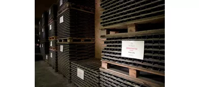 Poderi Gianni Gagliardo