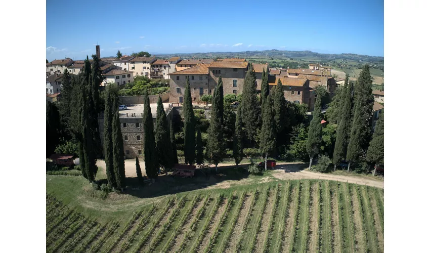 Fattoria Majnoni Guicciardini