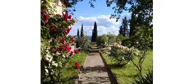 Fattoria Majnoni Guicciardini
