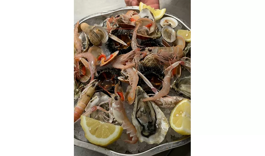 Zbass Trattoria di Mare