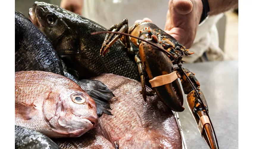 Lupo di Mare Ristorante di pesce