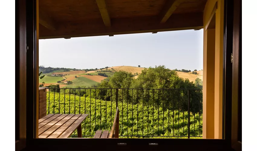Agriturismo Vecchio Gelso