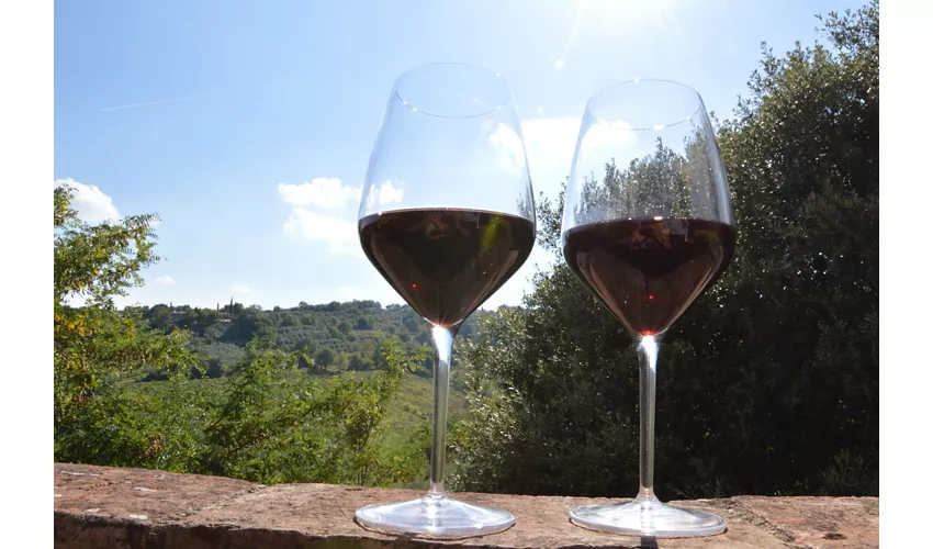 Tuscan Cooking Classes by le Caggiole
