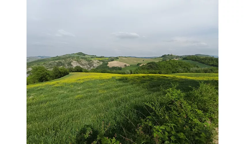 Agriturismo Il Castagno