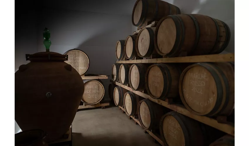 Azienda Agricola De Leyva