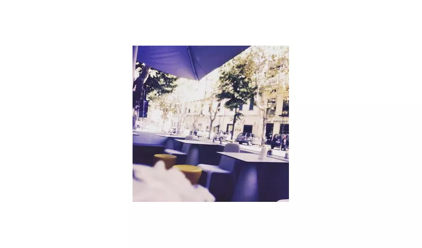 Magie Gelateria Jesi