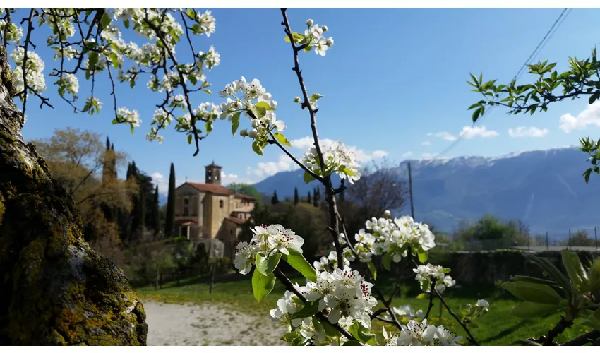 Agriturismo sul Lago di Garda Al Lambic