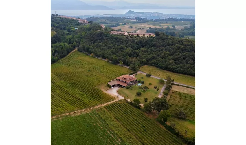 Azienda Agricola Pietta