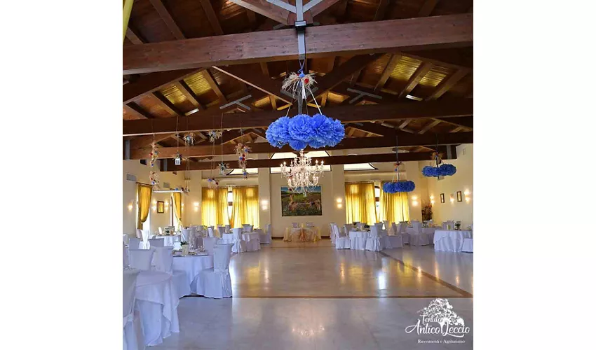 Tenuta Antico Leccio