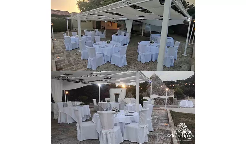 Tenuta Antico Leccio