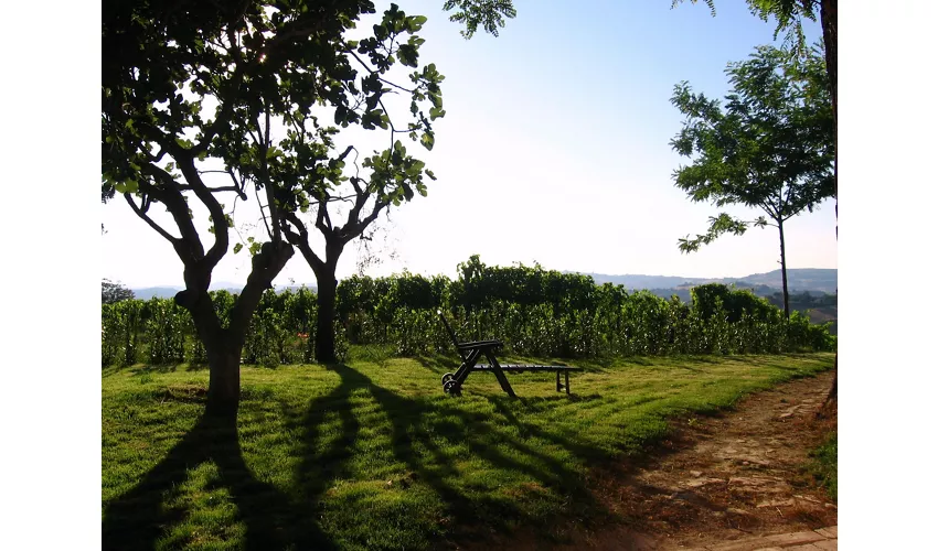 Agriturismo Alla corte di Carolina