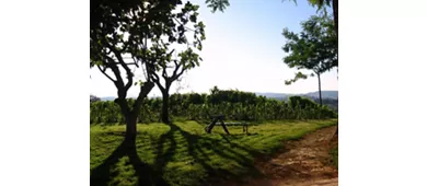 Agriturismo Alla corte di Carolina