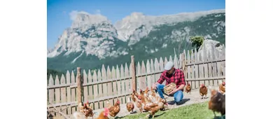 Lüch da Ciampidel