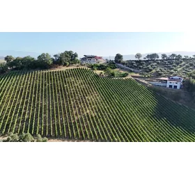Agriturismo Sant'Andrea