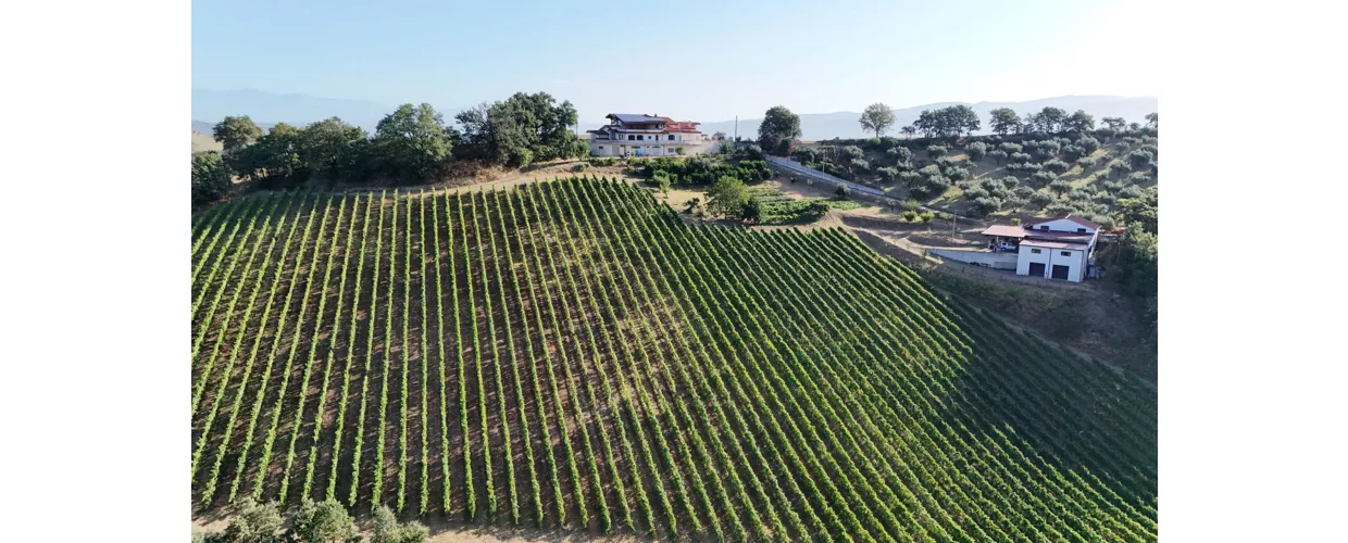 Agriturismo Sant'Andrea