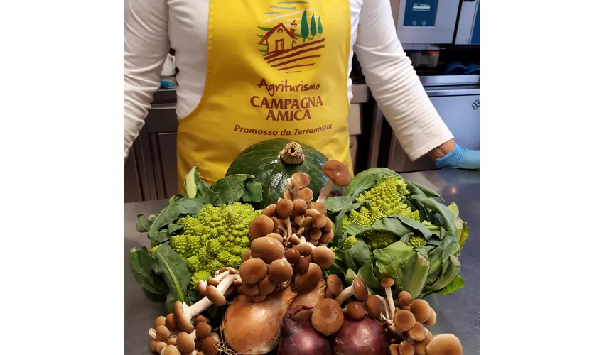 Agriturismo Ai Carpini