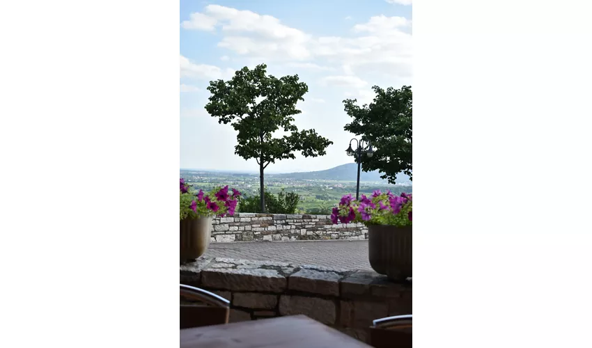 Trattoria Pizzeria Bar Belvederepicco