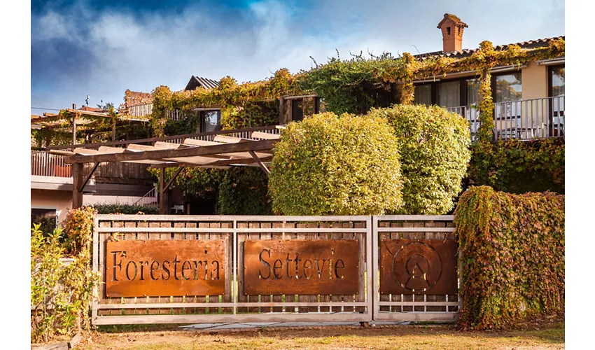 Foresteria Settevie