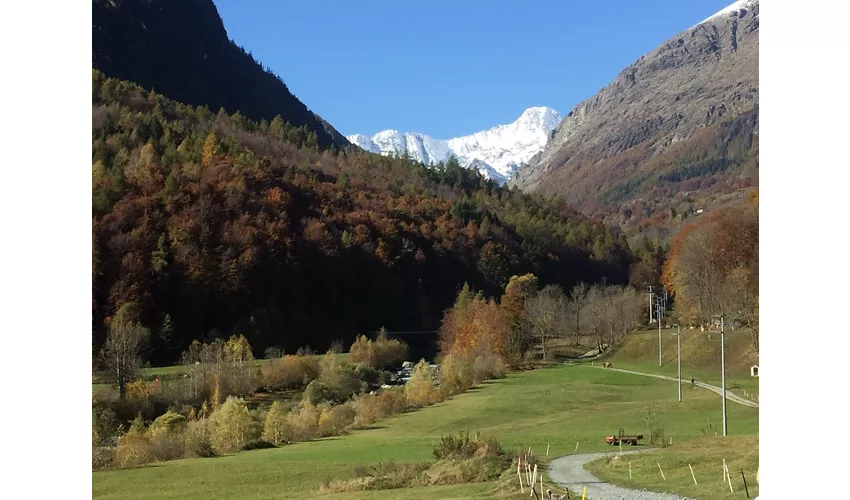 Baita La Montanara