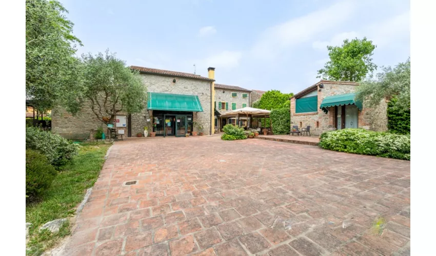 Agriturismo Biologico La Buona Terra
