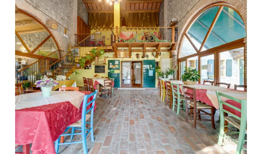 Agriturismo Biologico La Buona Terra