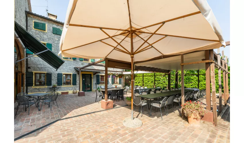 Agriturismo Biologico La Buona Terra