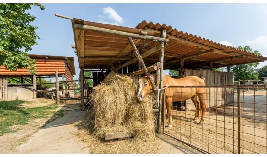 Agriturismo Biologico La Buona Terra