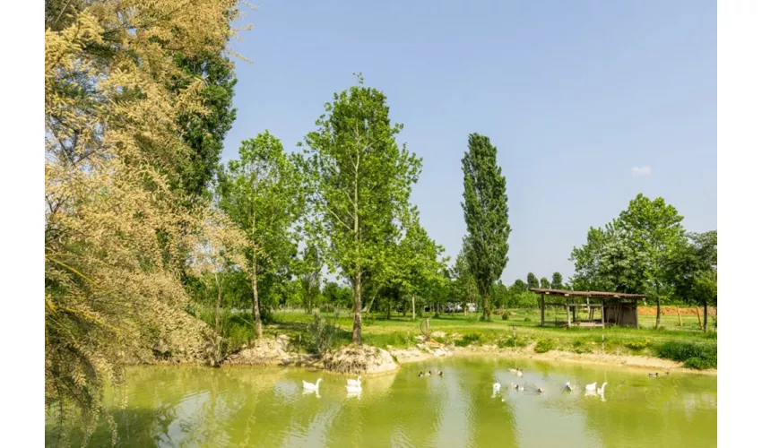 Agriturismo Biologico La Buona Terra