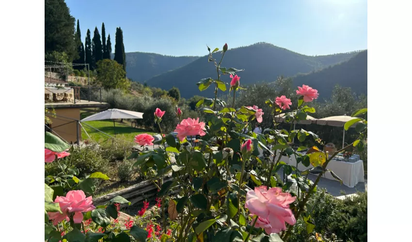 La Sosta Del Gusto