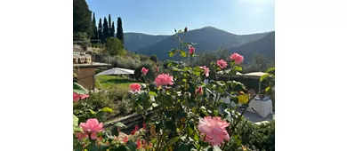 La Sosta Del Gusto
