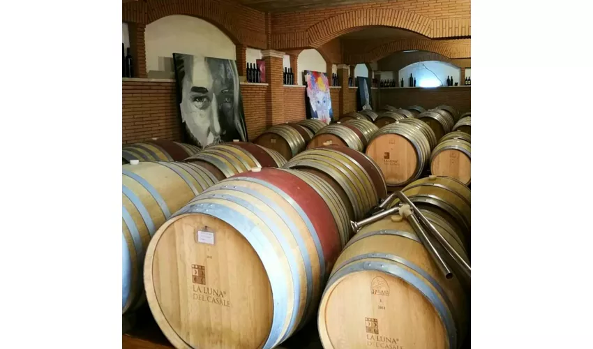 La Luna del Casale 