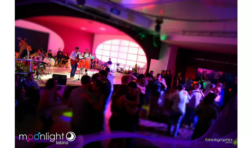 MoonlightDisco