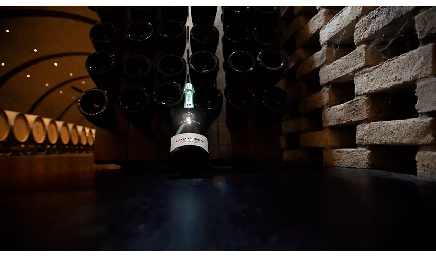 Cantina Bulgarini