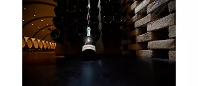 Cantina Bulgarini