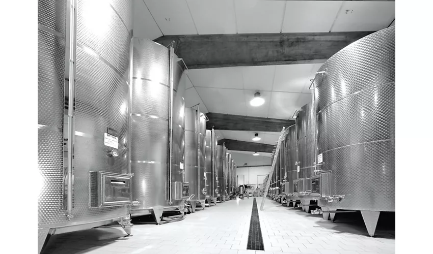 Cantina Bulgarini