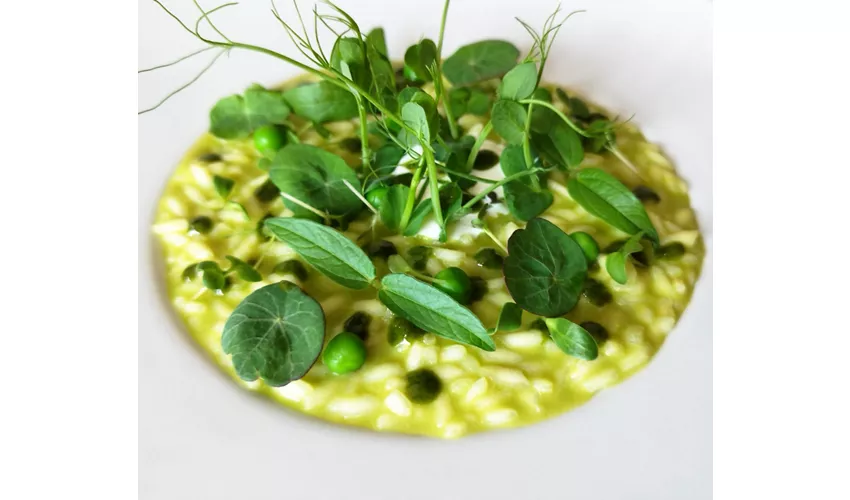 Ristorante RossoDiVino