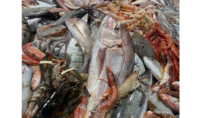 Aulino Gastromarineria “Il Mare In Bocca”