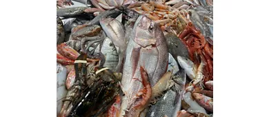 Aulino Gastromarineria “Il Mare In Bocca”