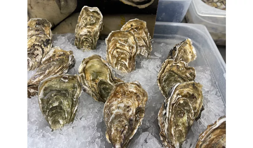 Aulino Gastromarineria “Il Mare In Bocca”